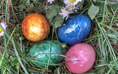 Rot-Weiss Lintorf wünscht frohe Ostern