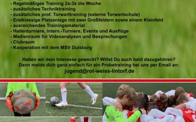 Wir suchen Dich!