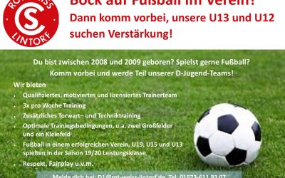 Verstärkung für unsere D-Jugend