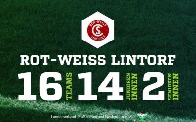 16 Teams – 14 Junioren – 2 Senioren