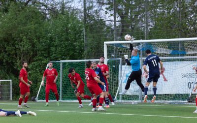 Big Points im Abstiegskampf: Unsere Erste dreht das Spiel und siegt 3:1!